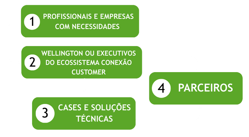 consultoria executiva - fluxo